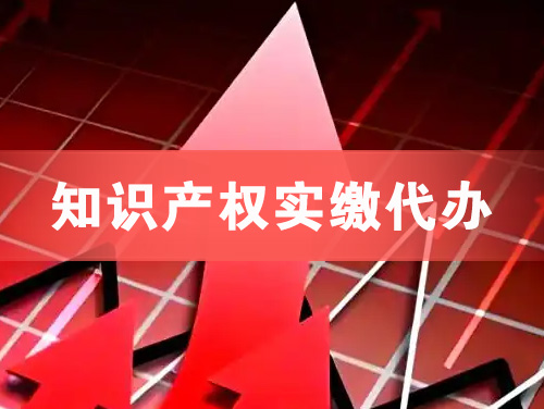 邳州知识产权实缴资本代办